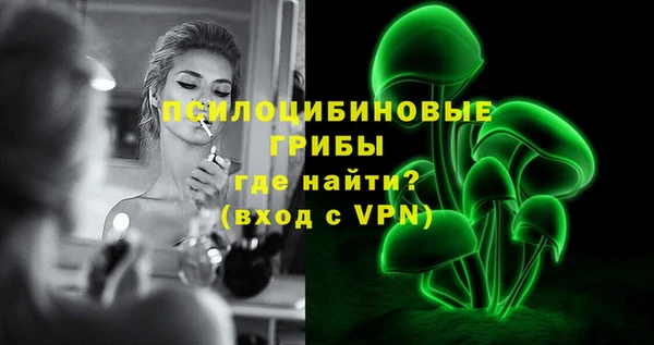 тгк Алзамай